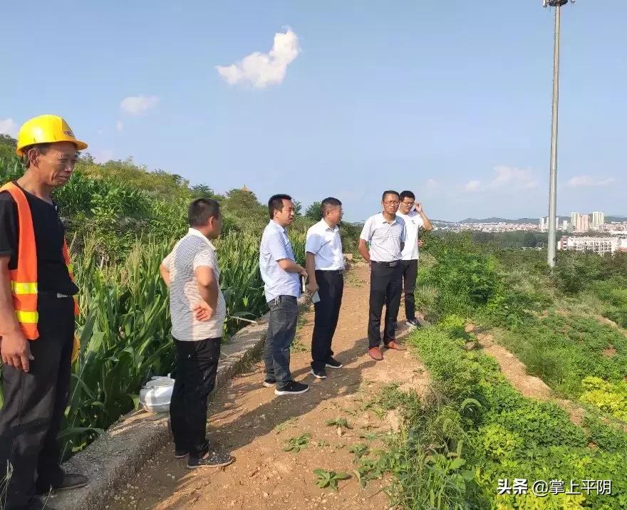 新能源汽车 第333页