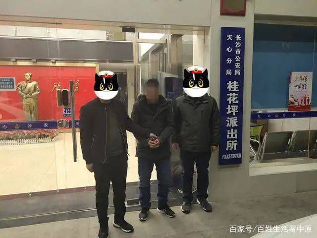 新能源汽车 第275页
