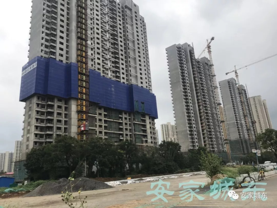 仙东宝华最新动态更新，最新消息汇总