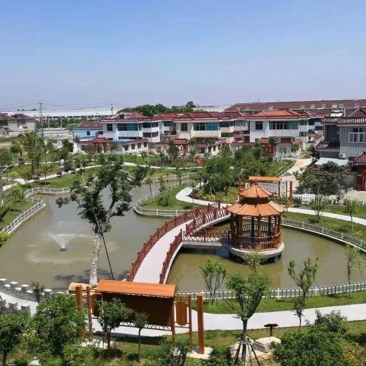 泰州九龙镇最新规划图，自然美景的探索之旅