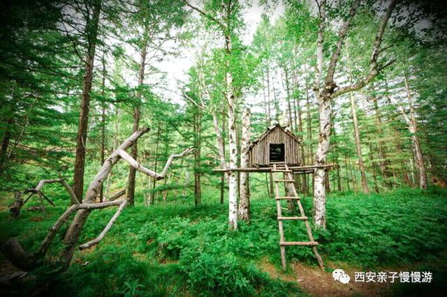 探索自然美景的轻松之旅，最新传达风格揭秘