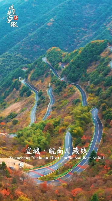 皖新传媒引领自然美景探索之旅，心灵洗涤与觉醒的启迪