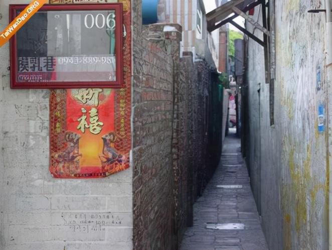 台风最新动态与小巷特色小店探秘的双重发现