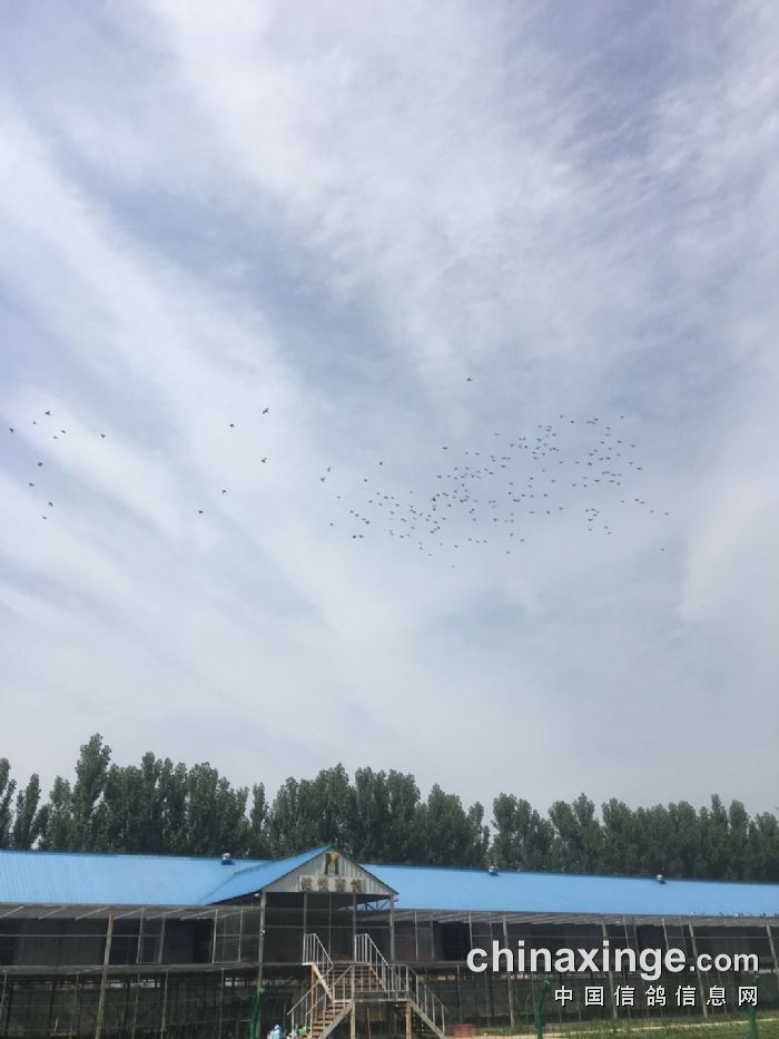 北京铭悦公棚最新公告，自然美景探索之旅邀请