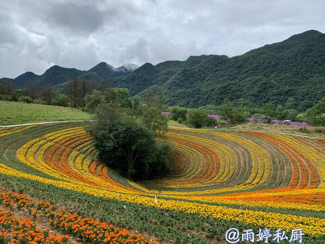 曹县金座，自然美景的探索之旅，寻求内心平和与宁静的最新消息