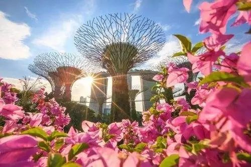 自然美景探索之旅 第9页