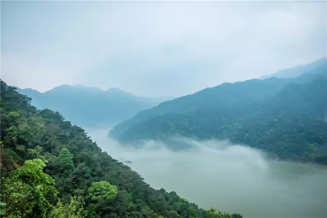 合肥高国忠探险之旅揭秘，最新自然美景探索的奇妙经历