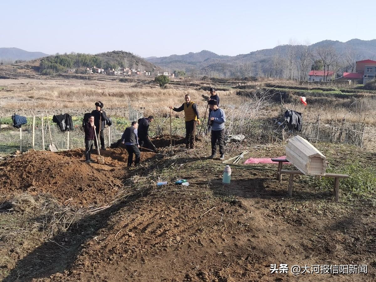 高科技产品崭新篇章，左岸春风一语断蓝最新动态