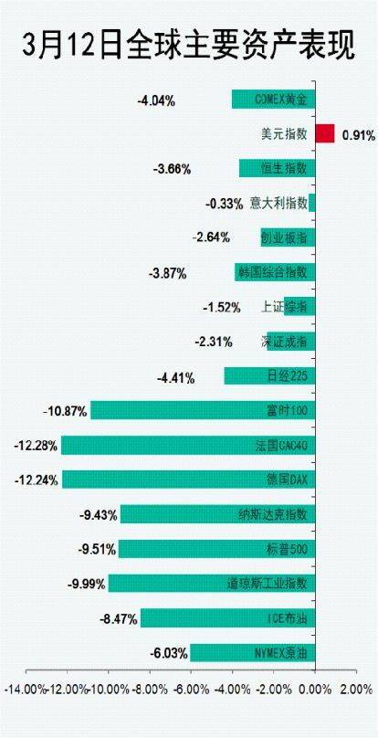 PP基金最新动态，脉络、影响与地位揭秘