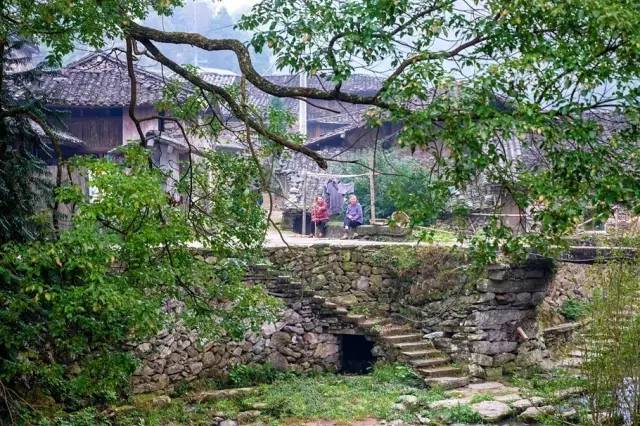 最新影视屋，探索自然美景，寻找内心平和的乐趣