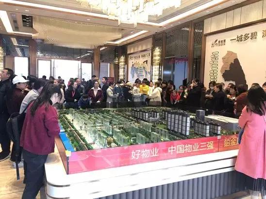 阜宁新闻最新动态，拥抱自然，内心宁静之旅