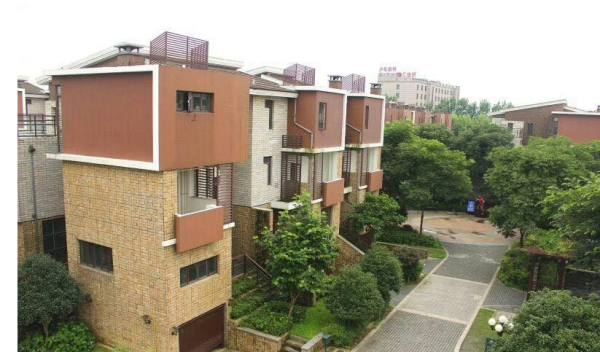 揭秘学区房最新楼盘与小巷中的隐藏特色小店探秘