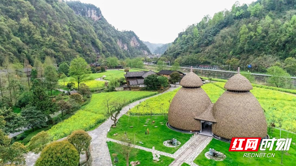 探索自然美景之旅，5x社区最新活动，寻找内心的平和之地