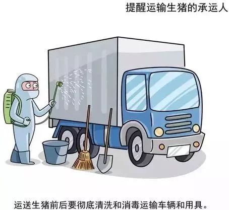 非洲最新动态更新