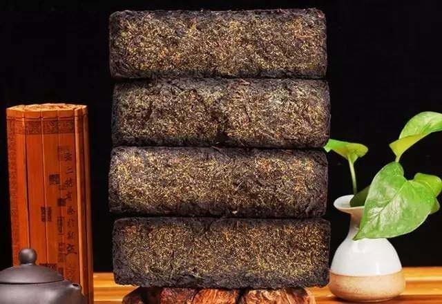 安化黑茶最新动态更新 🍵