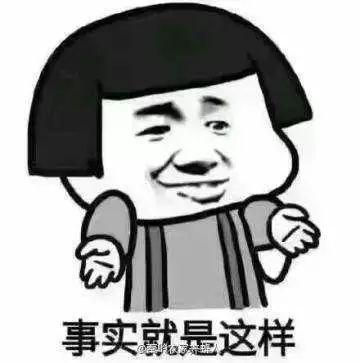 探索最新狗头文化的魅力，最新狗头动态一网打尽