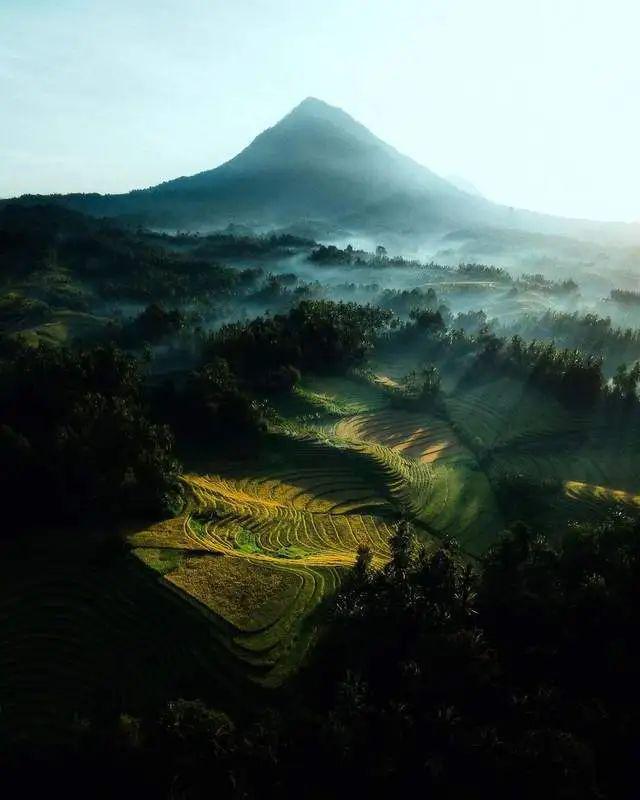 最新尘封档案揭秘，自然美景探索之旅独家记录