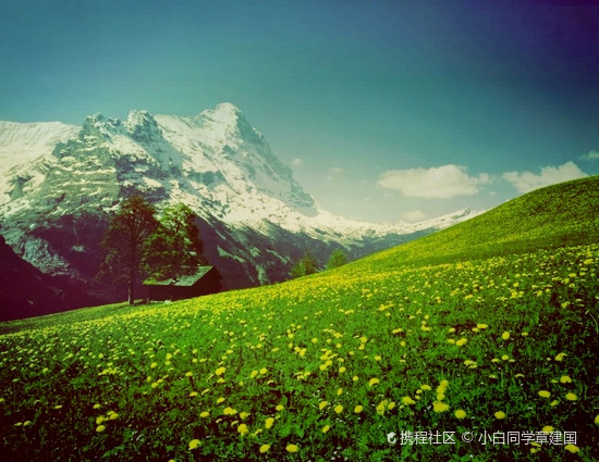 探索自然美景的治愈之旅，最新91天堂之旅