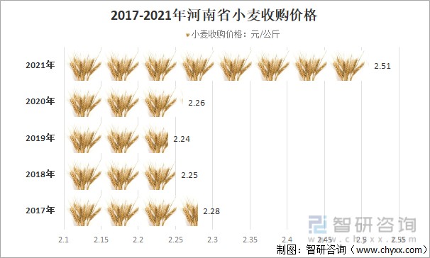 江苏小麦最新行情揭秘，小巷深处的麦香秘境与价格变动解析