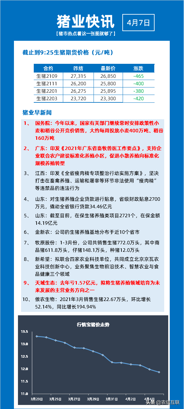 最新今日猪价分析与展望，市场趋势解读及未来预测
