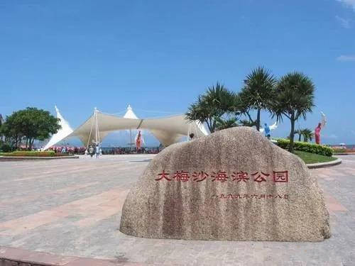深圳大梅沙最新消息，夏日记忆里的温馨瞬间