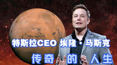 马斯克最新采访背后的故事与独特小店探索之旅揭秘