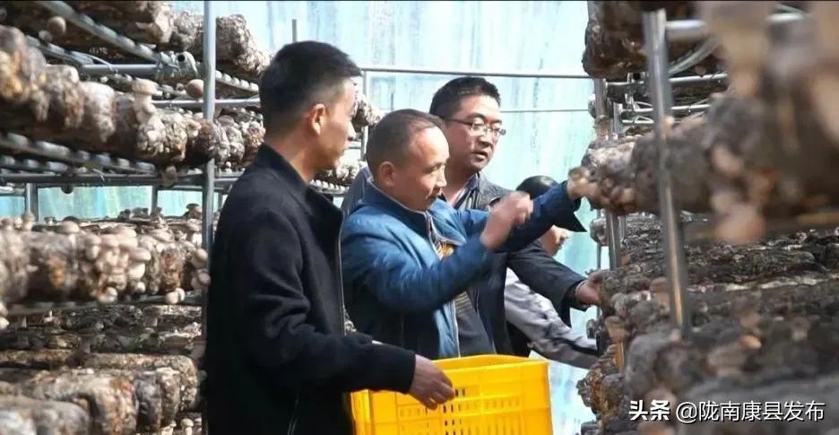 最新发行，翻开人生新篇章，激发自信与成就感