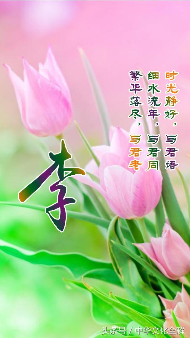 科技重塑传统，百家姓最新排名表揭示姓氏荣光探寻之旅